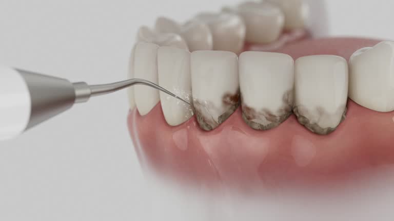 Reliable Dental contractor in Fulton, MD by Dentist Open Now